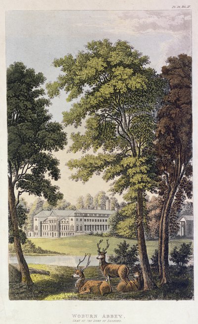 Woburn Abbey, from Ackermann